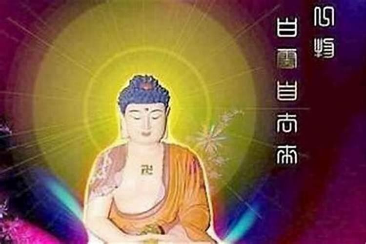 75的兔2025运势