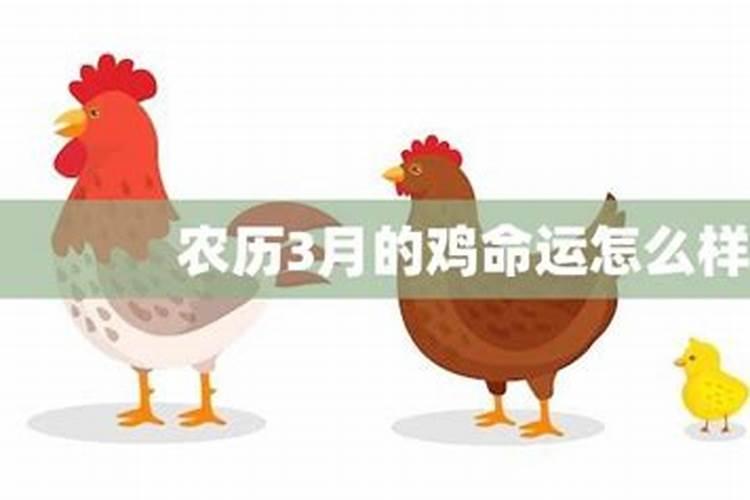 2013本命年可以整容吗？是89年4月的男蛇。