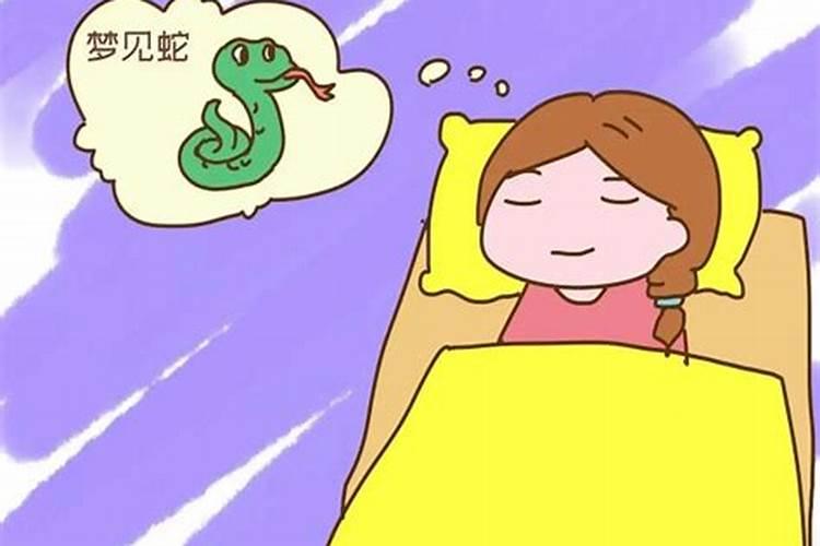 梦见蛇的七大预兆 梦见蛇的七大预兆是什么意思