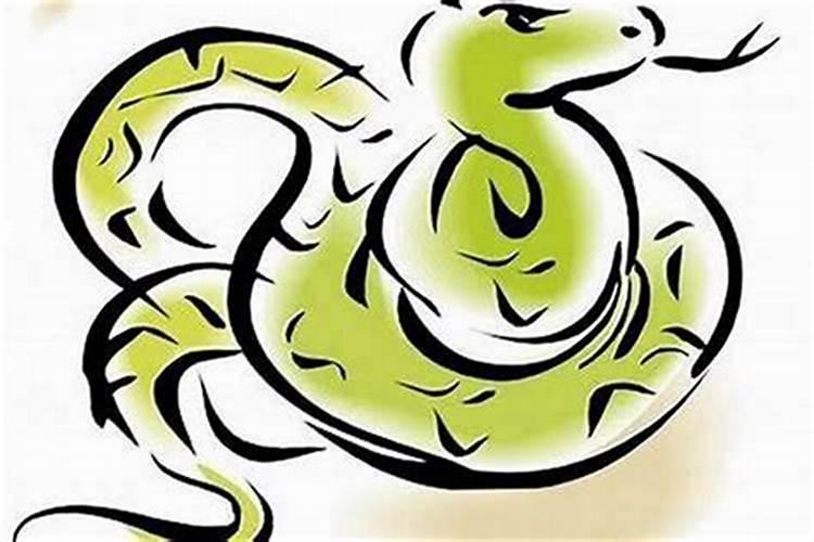 属蛇的与属猪的八字合不合做生意 合不合财？