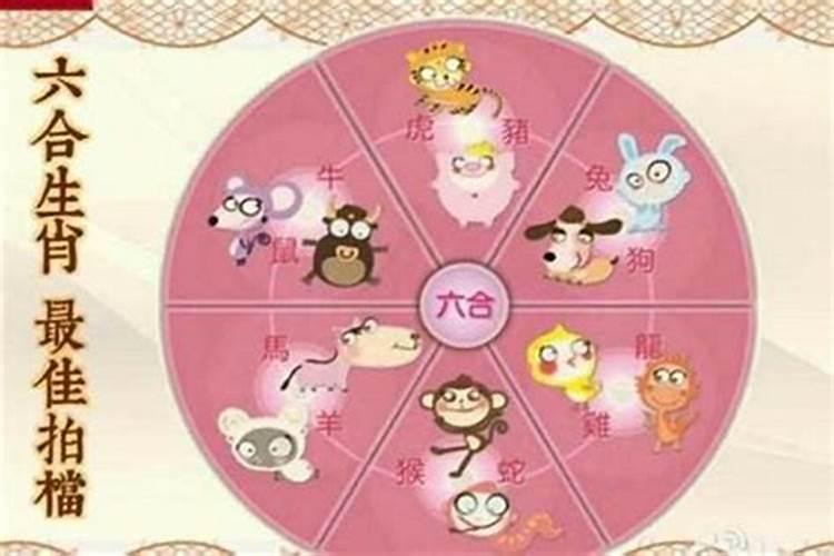 属马今年的婚姻怎么样