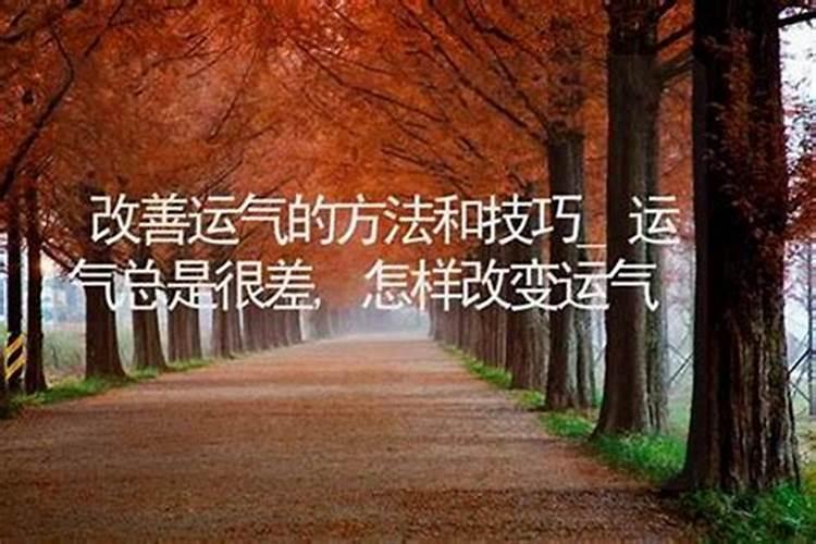 学风水书哪个好