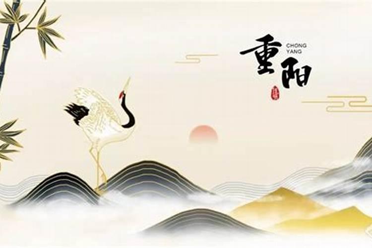 2024属牛未来十年大运
