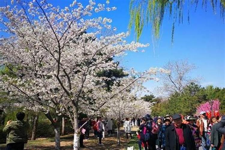 杭州十大适合清明节旅游的地方