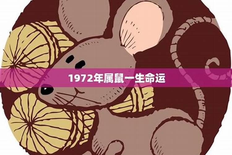 1972年属鼠男一生运程 72年鼠男一生的命运如何