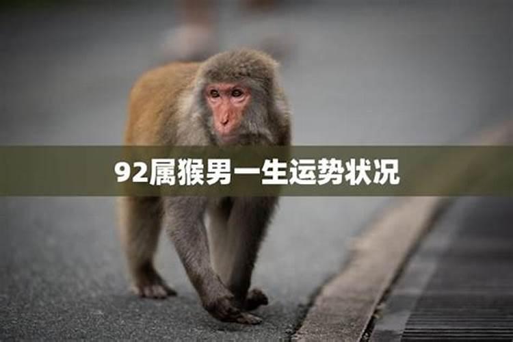 75年属兔是什么命 五行缺啥 一生命运？