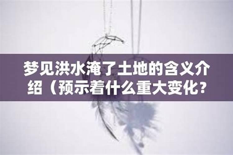 清明节的风俗和来历