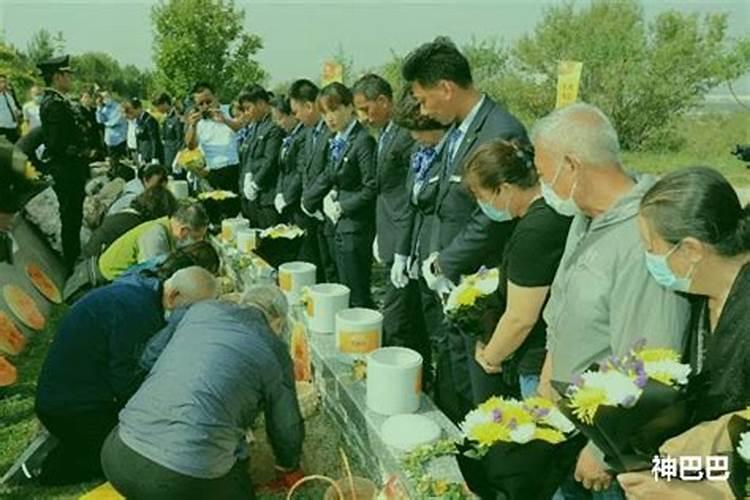 梦到猫死了 梦到猫死了什么预兆