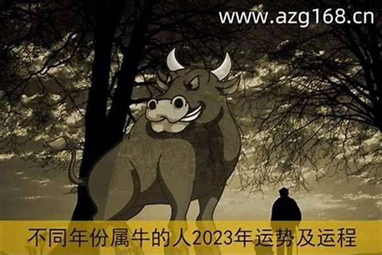 生肖鼠1996年2025年运势如何生肖鼠1996年2025年全年运势