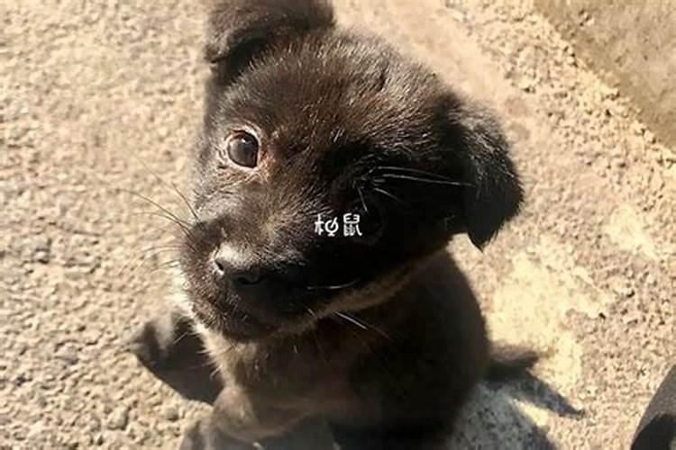 孕妇梦到鬼是什么意思周公解梦