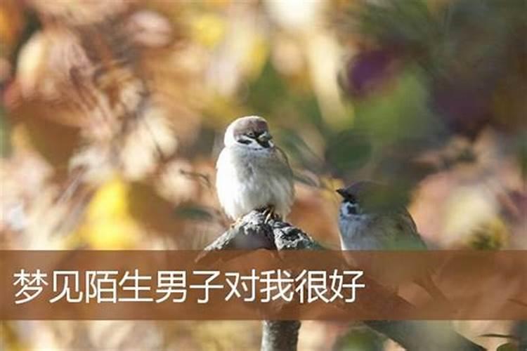 家风家训小卡片精选45句