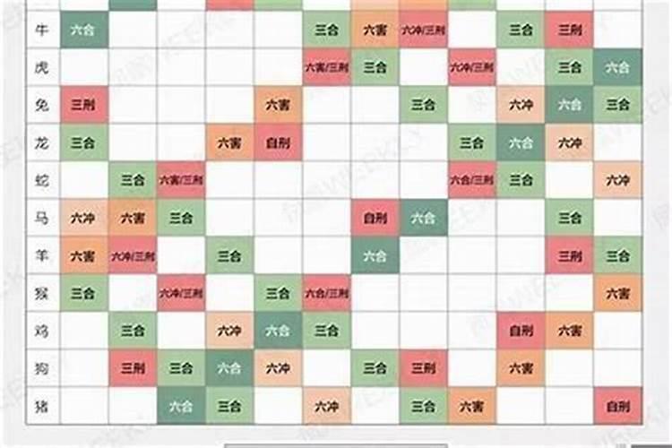 12属相最佳婚配表,是什么呢？