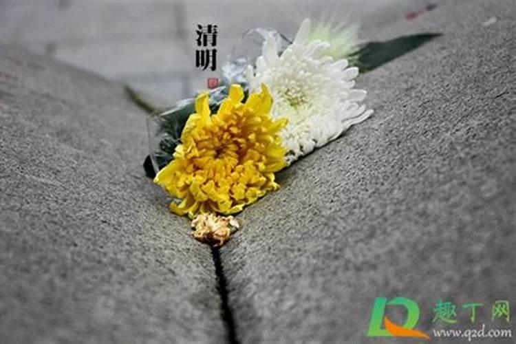 清明节什么时候烧纸最好