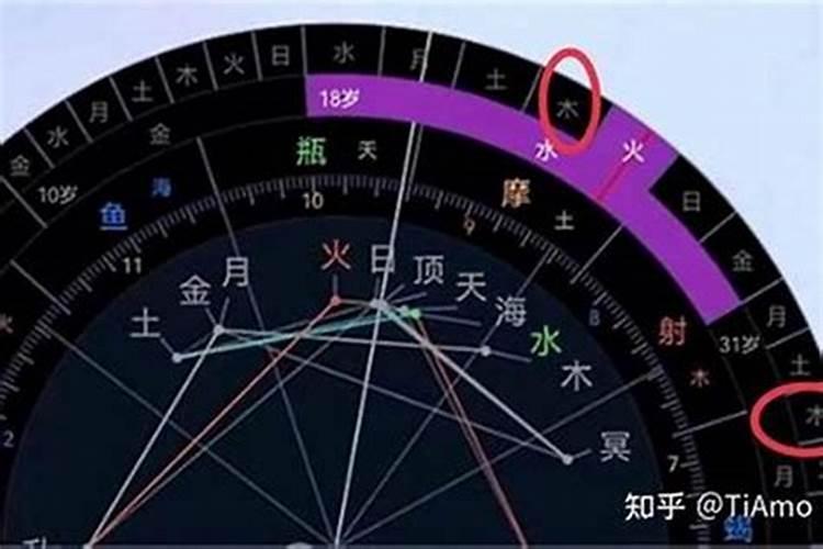 2025年属狗的全年运势
