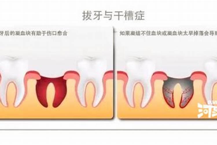 中秋节是几月几日 中秋节在什么时间