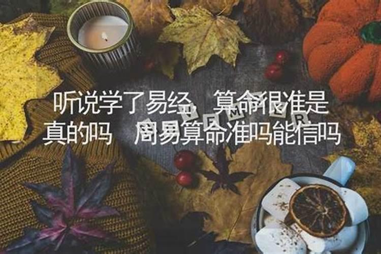 2026马年是什么命
