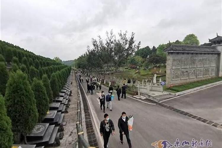 免费算婚姻:属虎男与属虎女的婚姻好吗 八字合财吗