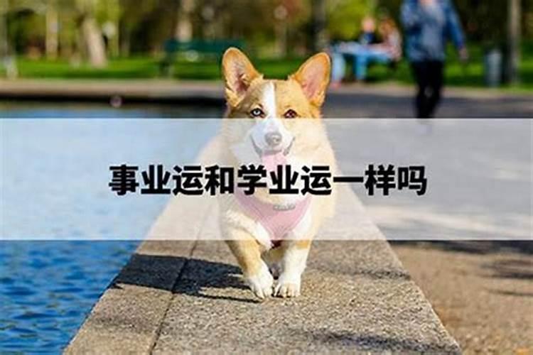 事业运不顺利的时候怎么化解,当感情事业都不顺利的时候该怎么办？百...