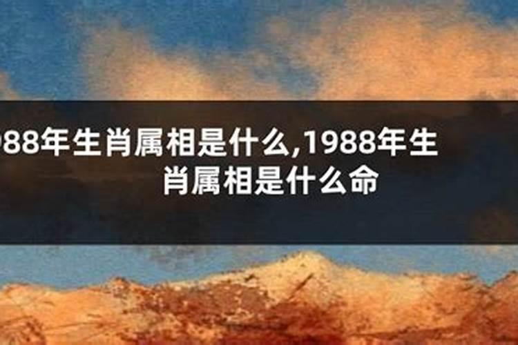 八字难道真的就把一生注定了吗