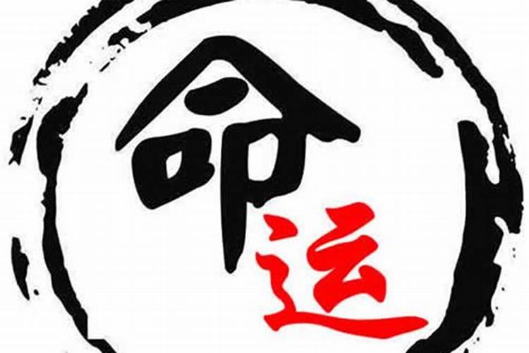 1999年12月24日早8点生属兔的女人的运气