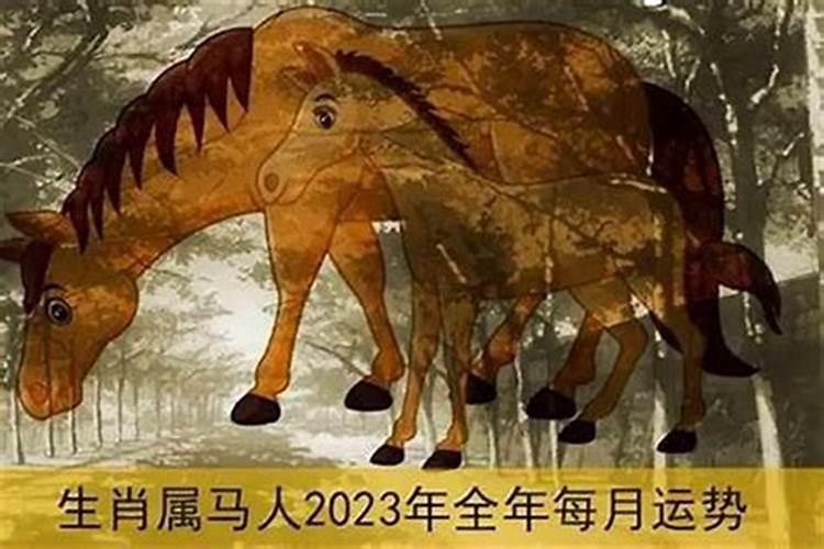 属马人哪一年犯太岁最严重,各方面运势如何