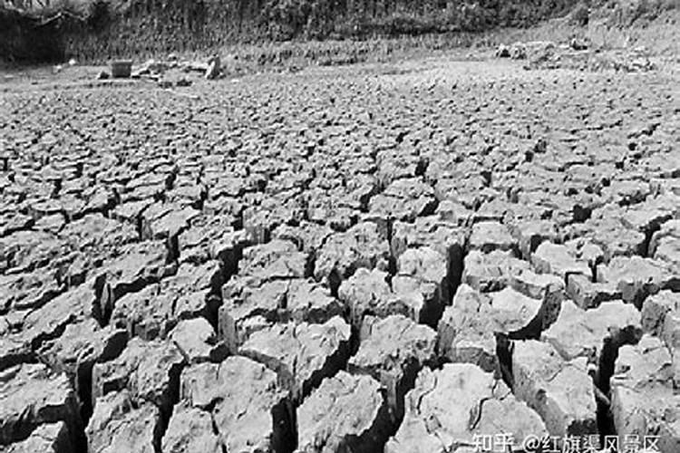 59年的猪是什么命配什么好,59年2月属猪和什么属相配