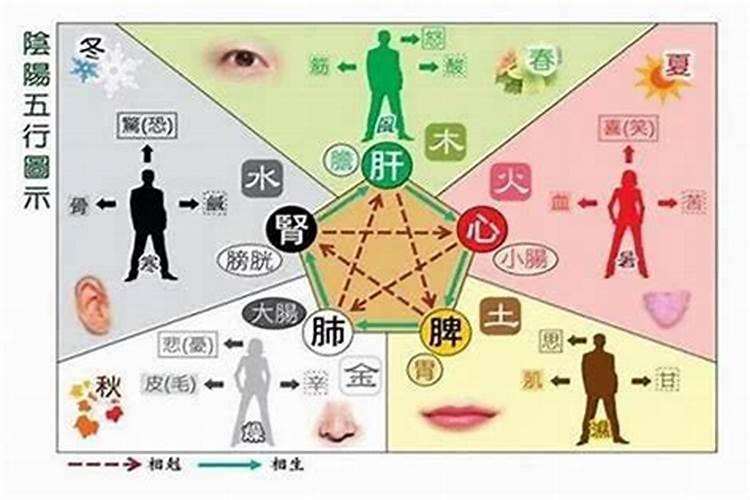66年属马今年每月运势