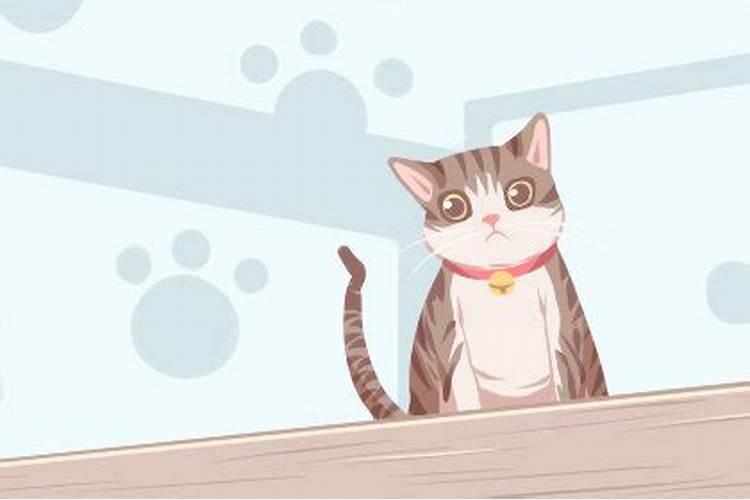 梦见家里来了一群猫预示什么