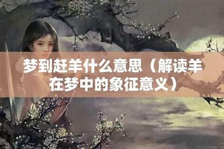 梦见赶羊是什么意思？