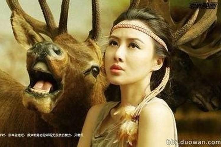 麦玲玲2017年生肖运程