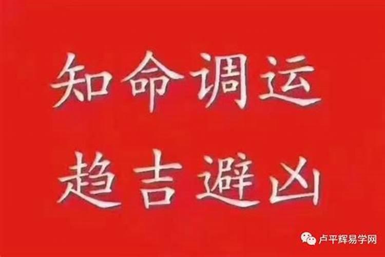 属牛和属羊的适合做夫妻吗