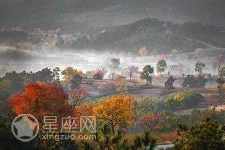 梦见蛇敲门是什么意思 预兆
