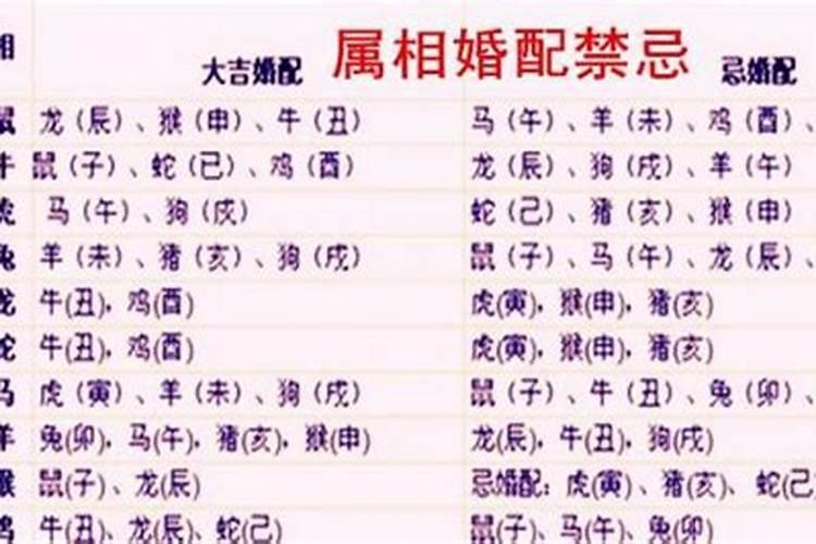 女生属牛的婚姻配对蕞佳