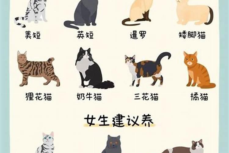 87年属兔的最佳婚配表