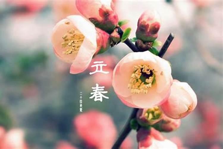 一年中24节气是怎么分配每个节气有多少天啊