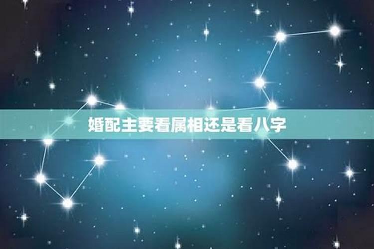 八字合婚只看生肖 准不准确？