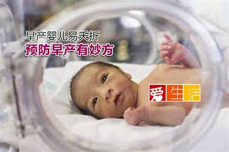 2025年端午节是几月几日 2025年端午节是哪一天