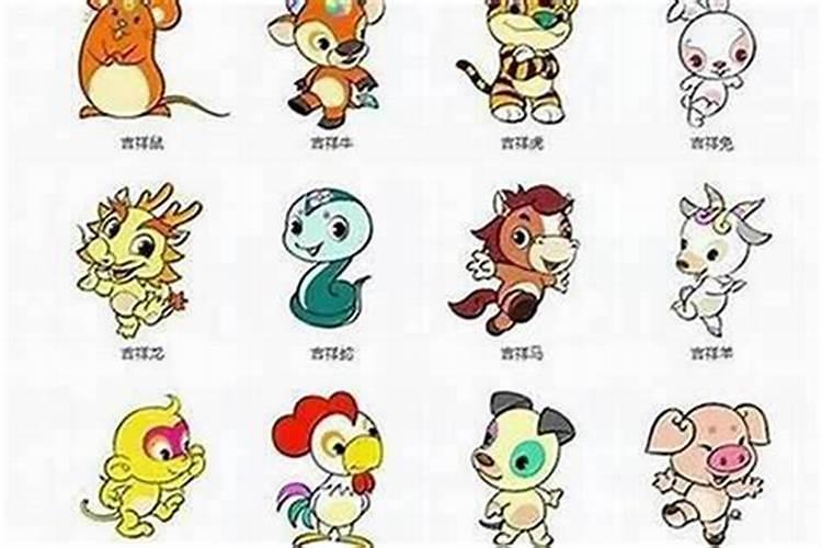 属相兔的三合和六个合生肖是什么