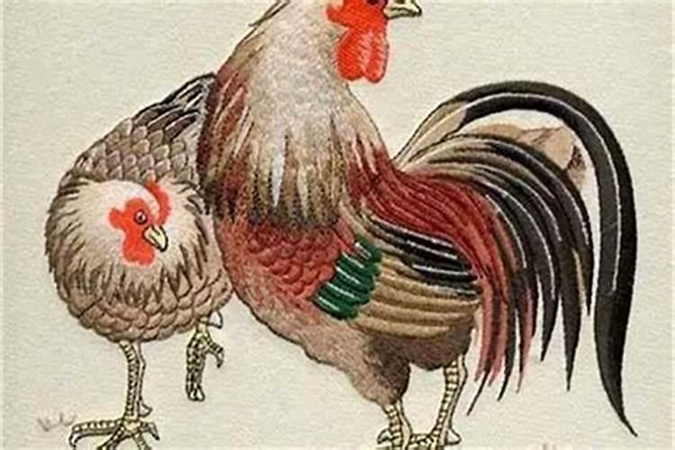 2025年属什么命 五行属什么