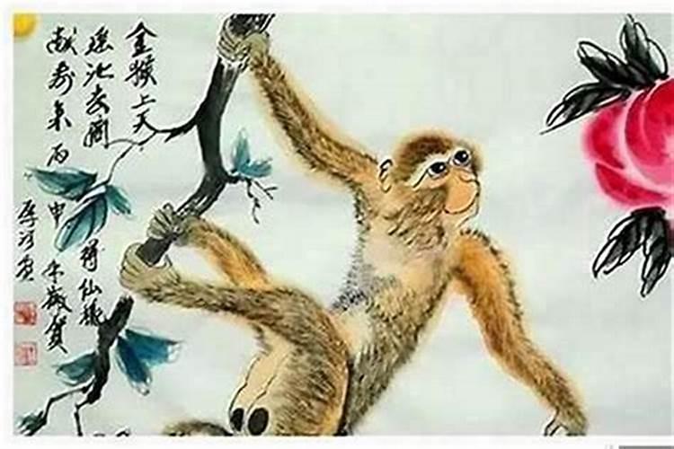 属猴的和什么属相最配