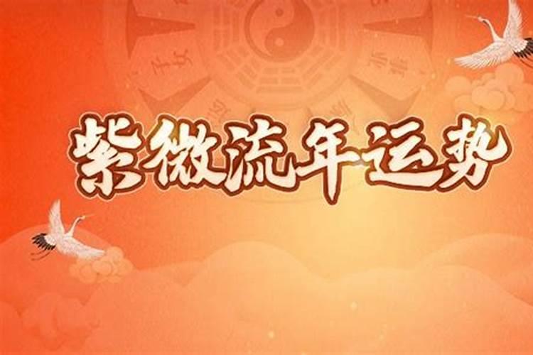 小运流年比食什么意思