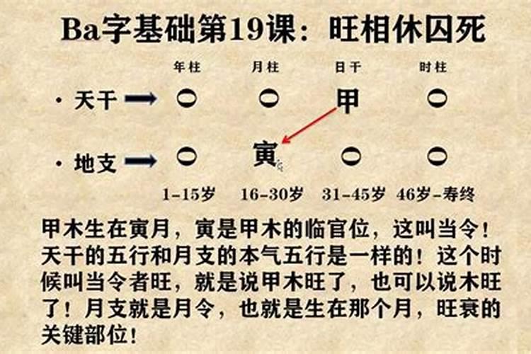 属猴人2024年农历九月运势