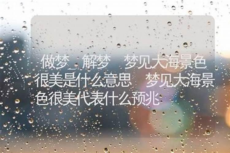 梦到大海很美