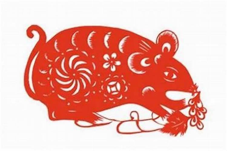 77年属蛇的一生有几次大劫,77年属蛇三大劫难