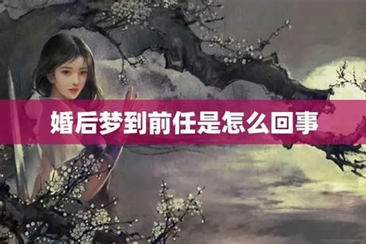 看见小鸟死有什么预兆？