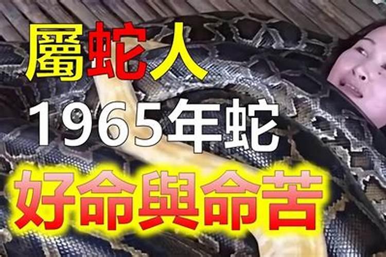 梦见红色的金鱼在水里游