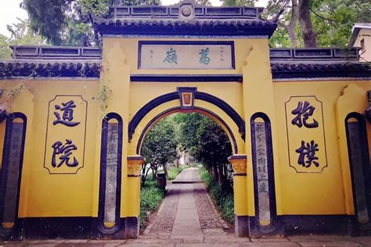 2025属猪冲太岁怎么化解