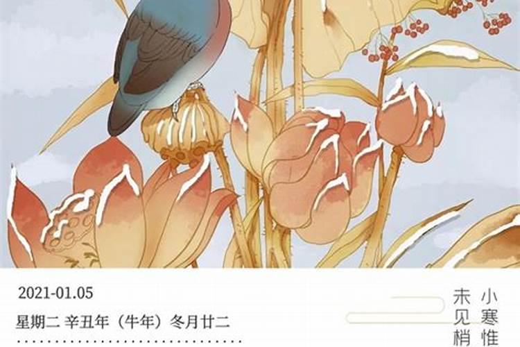 属牛的人2023年运势及运程