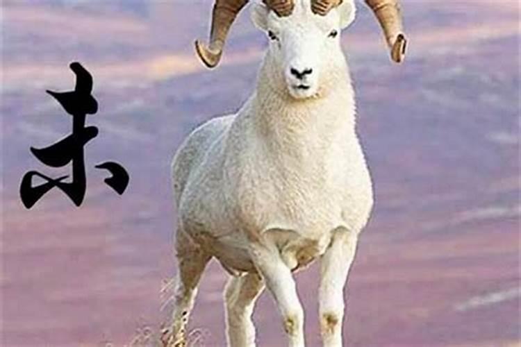 九一年属羊的向哪个方向找对象最好