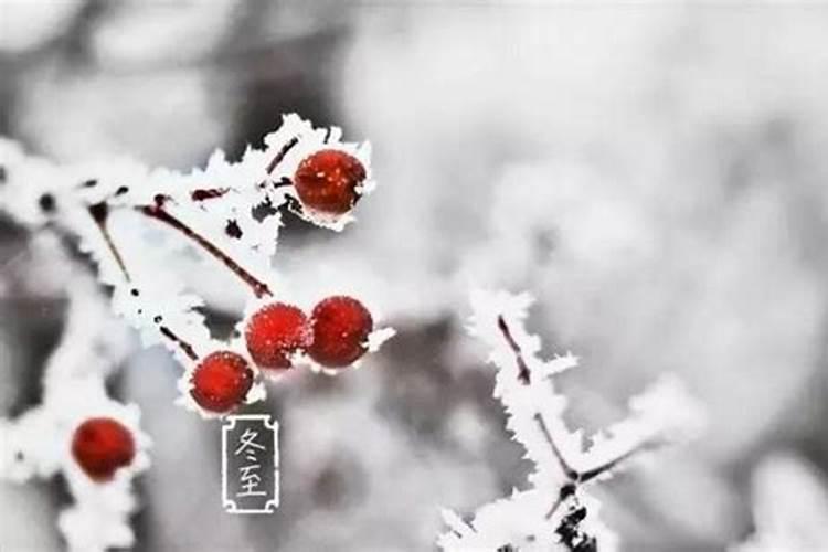 九月九号是什么星座,9月9号星座的特点
